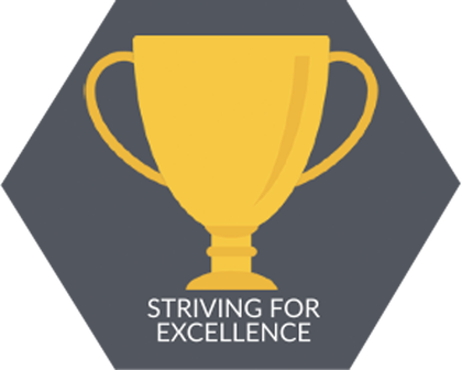 Striving for Excellence